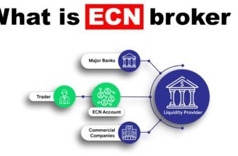 ECN vs STP Brokers: What’s the Difference?