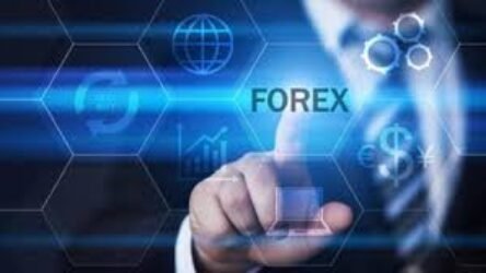 Best Forex Brokers for Beginners in 2025
